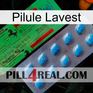 Lavest Pill new03